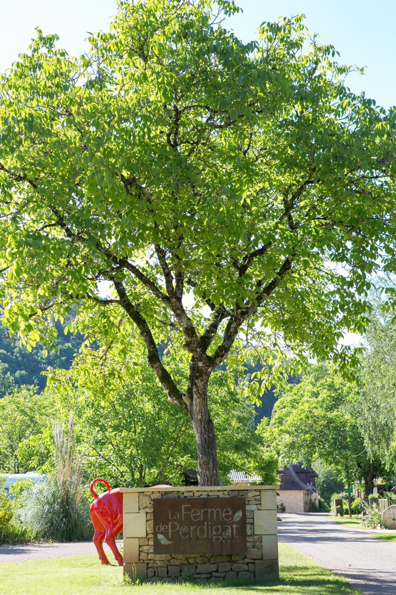 Camping La Ferme De Perdigat Limeuil Extérieur photo